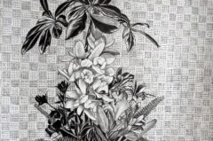 PXL_20230529_224732762.MP