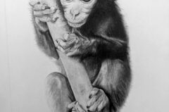 PXL_20230621_101405853