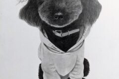 PXL_20230713_200154893.MP