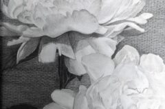 PXL_20230713_200245479.MP