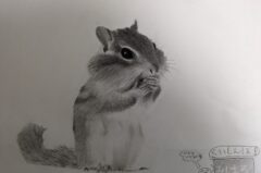 PXL_20250301_054939472.MP~2