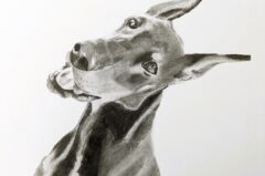 PXL_20250323_014705707.MP~2