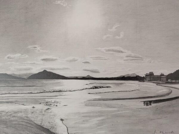 PXL_20250831_004950954.MP