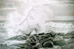 PXL_20260126_024316577.MP~2