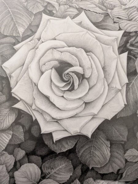 PXL_20260128_011503877.MP