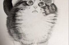 PXL_20260202_100907323.MP