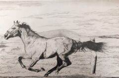 PXL_20260221_011613571.PORTRAIT.ORIGINAL