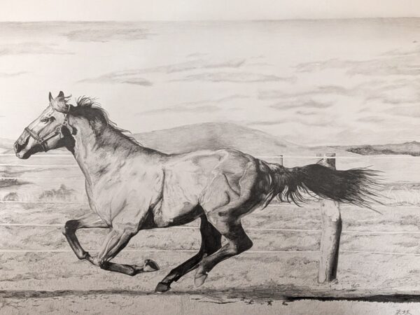 PXL_20260221_011613571.PORTRAIT.ORIGINAL