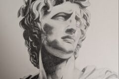 PXL_20260221_023348719.MP