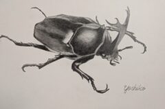 PXL_20260309_084859225.MP