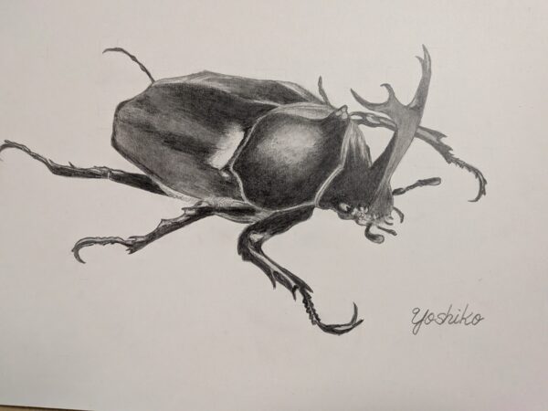 PXL_20260309_084859225.MP